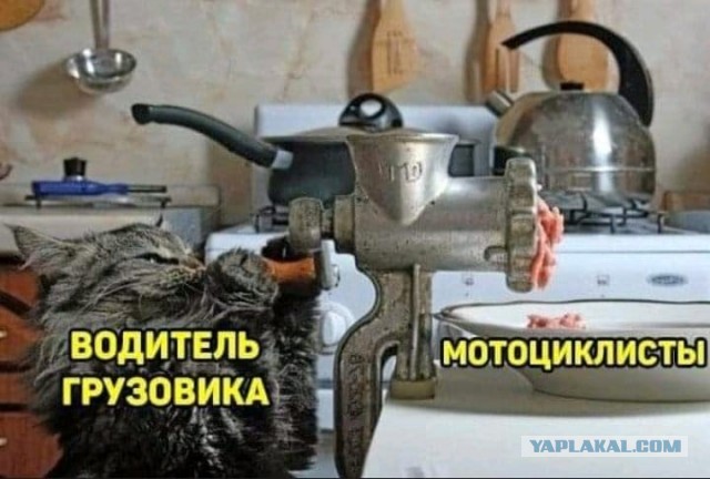 Весёлый полтишок 01.02
