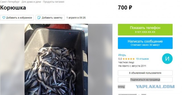 Отважные (нет, безмозглые) люди, многим их не понять!