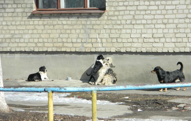 Эсхар