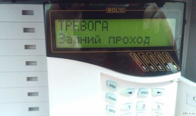 В Екатеринбурге пройдет гомофобный пикник⁠⁠