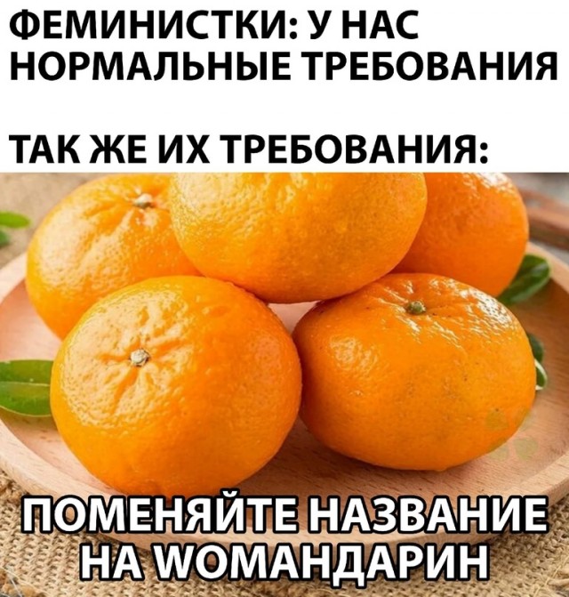 Весёлый полтишок 18.08.22