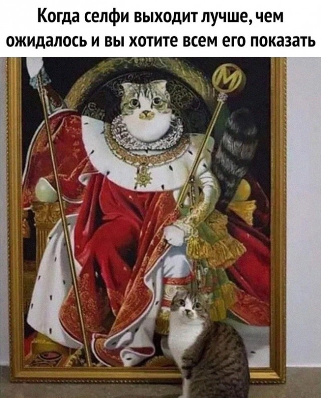 Картинки и мемы, всем хороших выходных