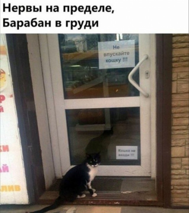 Скриншоты и комментарии из социальных сетей 16.09.22