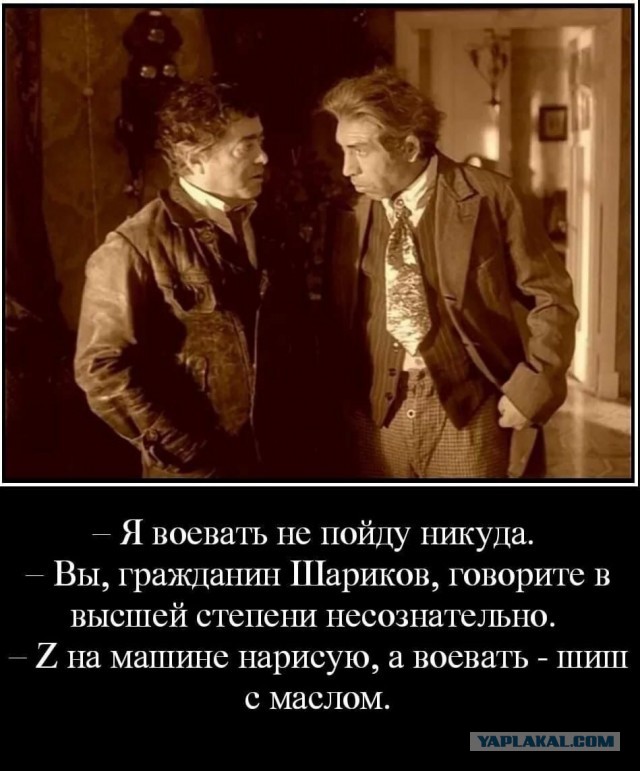 Главы российских регионов поддержали призыв Рамзана Кадырова "самомобилизоваться"