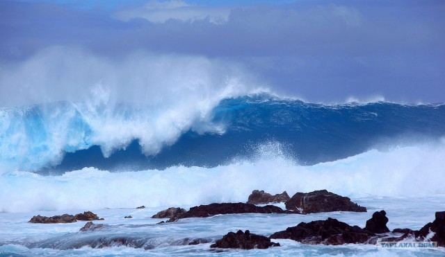 Южно-Американский дневник. остров Пасхи