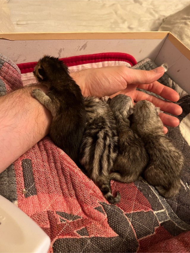 Котя убаюкивает малыша