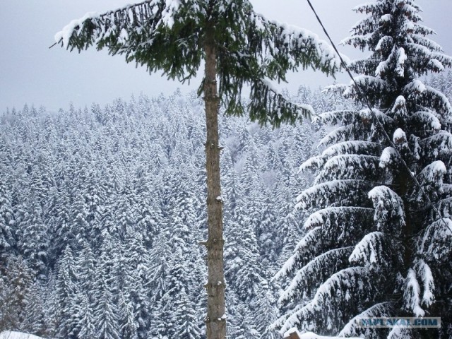Румыния 20.12.12
