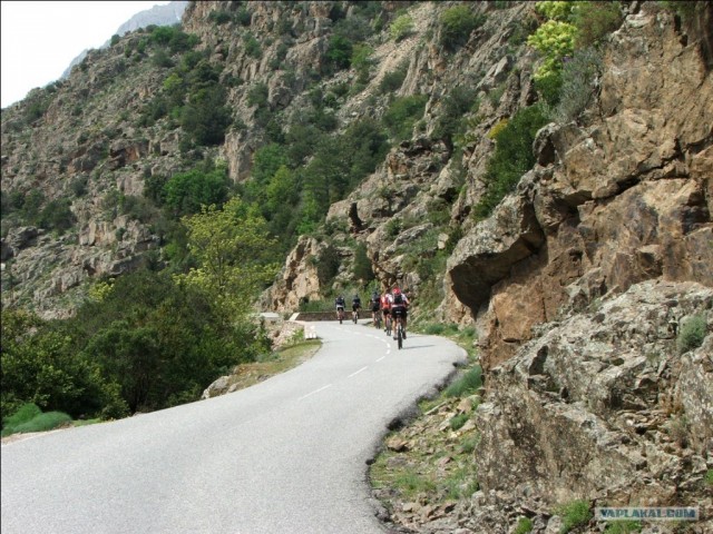 Франция. Корсика.