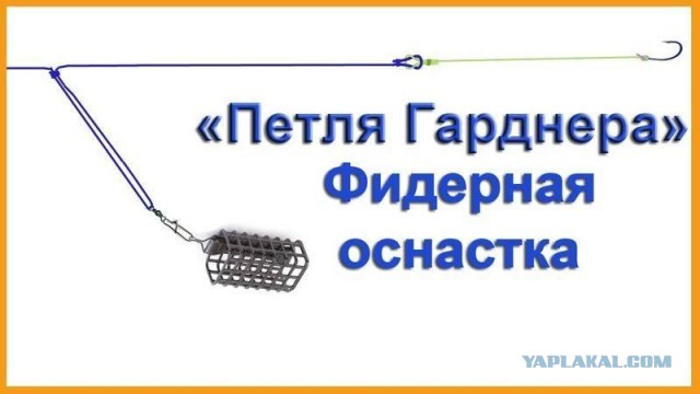 Победная поступь идиотизма по планете – том 5