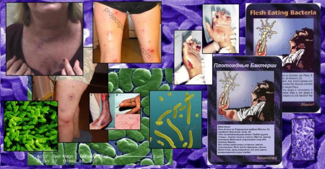 У гроба Папы Иоанна Павла II