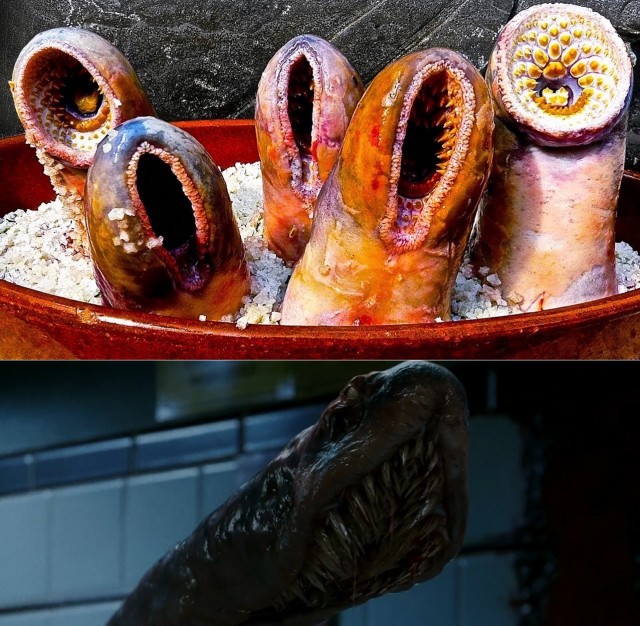 15 фото, раскрывающих природу с темной стороны, заставляя трепетать перед ее силой и грозностью