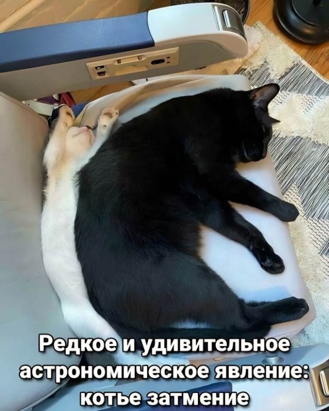 Весёлый полтишок 08.05.23