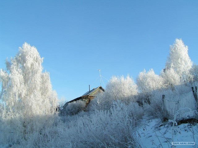 Русская зима (10 фот)