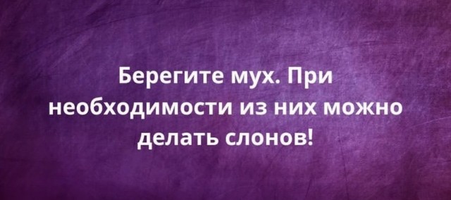 Скупка краденого из сети 09-08-2023