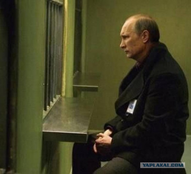 МВД России объявило в розыск брата Алексея Навального