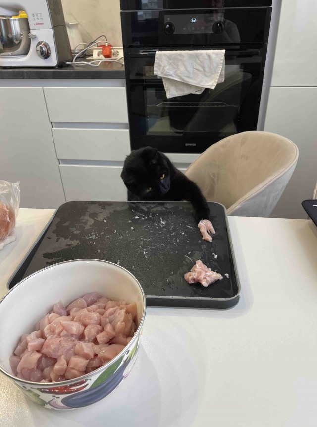 Всех с котовторником