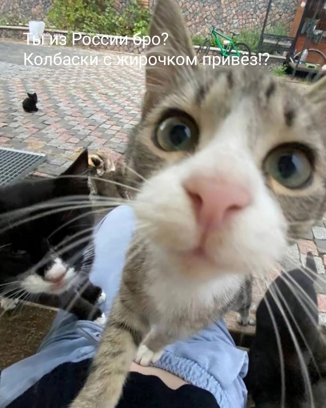 Последнее, что видит человек, когда сел на лавочку в Турции