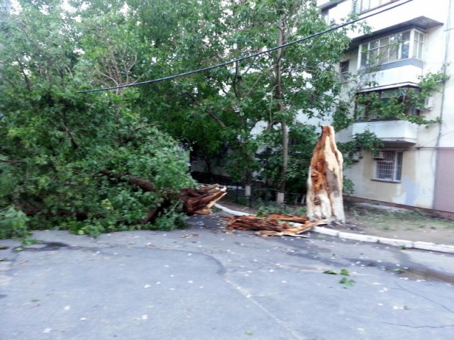 Ураган в Одессе