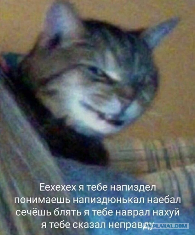 Подписки,  постоянные попытки на&бать, скидки-на&бки