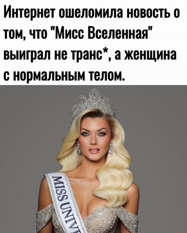 Весёлый полтишок 22.11.24