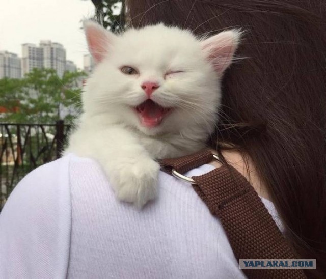 Одного фото псто