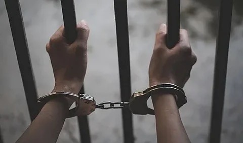 В мире животных.