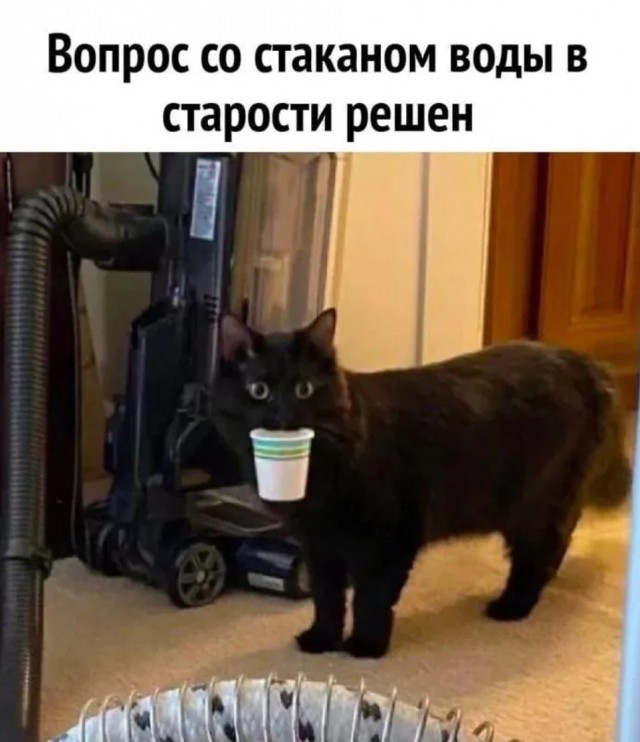 Завалялось тут случайно немного забавных картинок