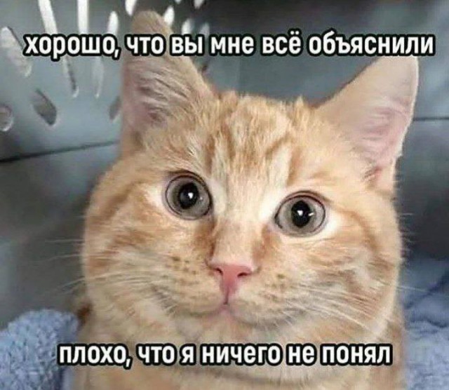 На случай важных переговоров