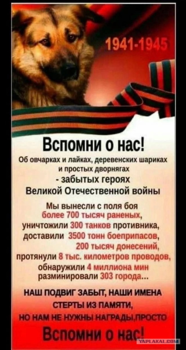 Дроны Великой Отечественной