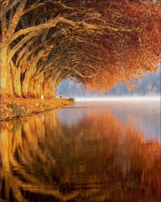 ФотоВинегрет