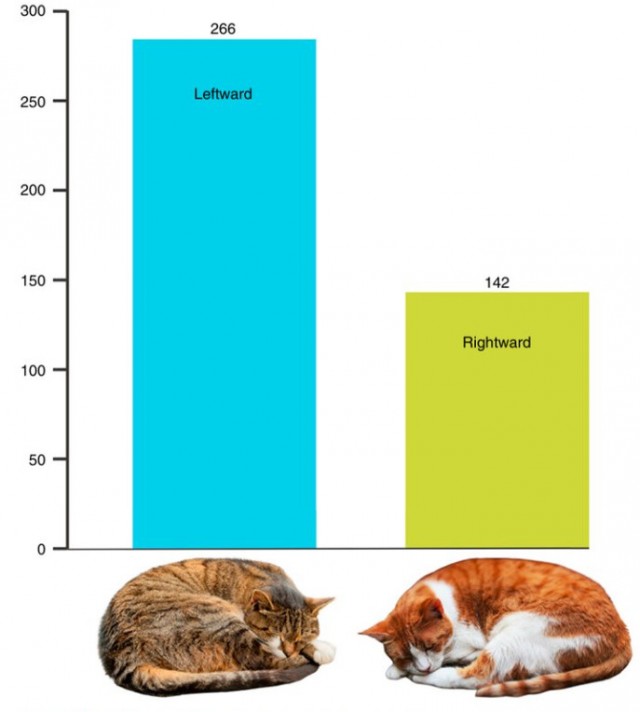 Важное исследование