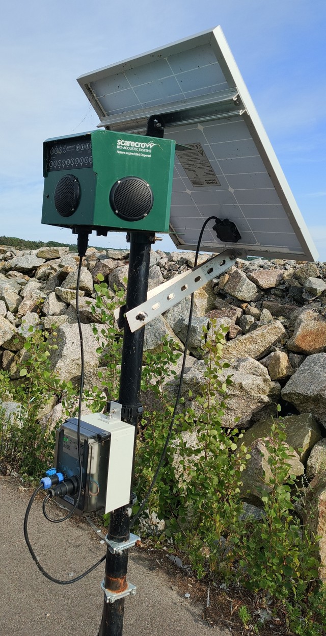 ЯП познавательный. Пугало аккустическое