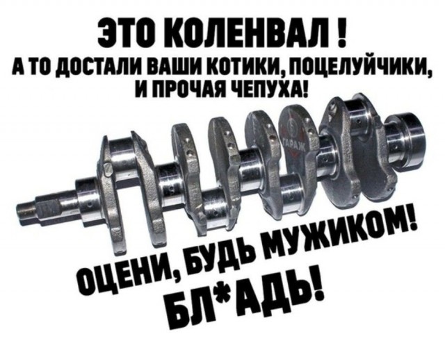 Так себе картинки 28.07.25