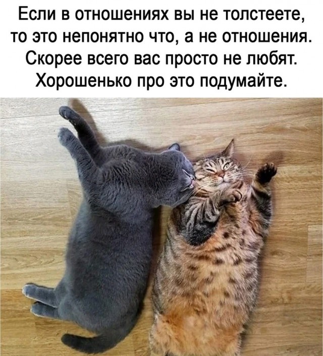 Немного картинкафф для настроения (баяны-перебаяны)