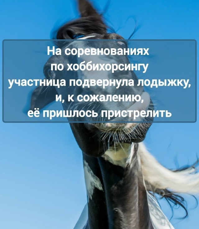 Найден босс всех квадроберов