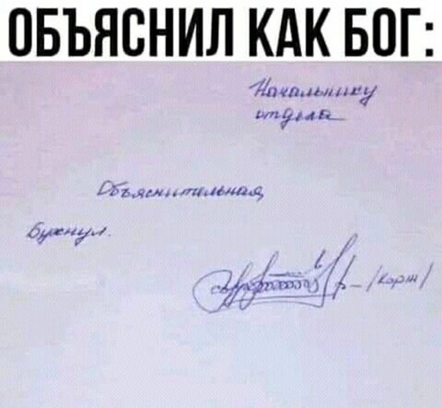 Прикольные и просто красивые картинки 31.10.2025