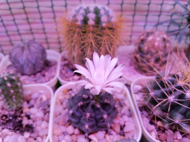 Поздравляю всех причастных с праздником!