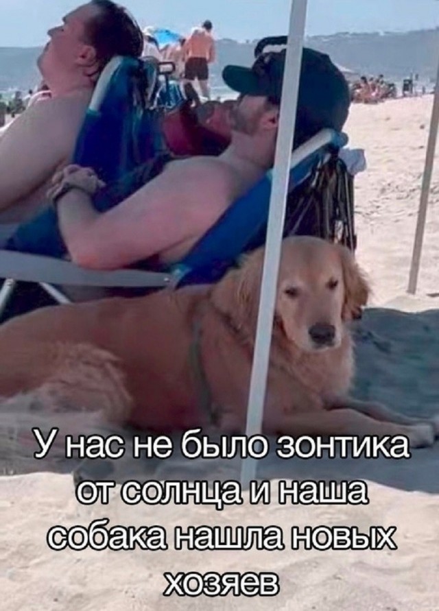 Так себе картинки 13.07.26