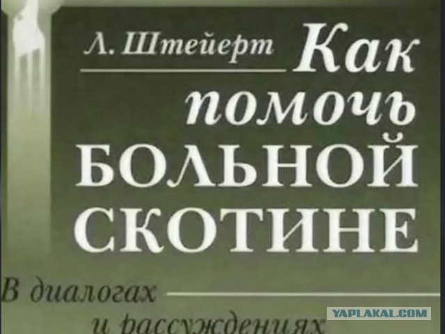 Бабка на всю страну командовала мужику "закрыть рот", но получила равноправие