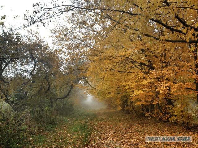 Западная Украина. Край где живут облака.