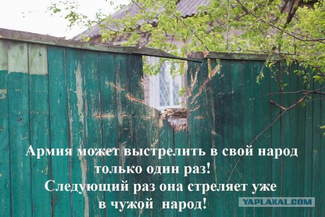 Бесславные ублюдки...