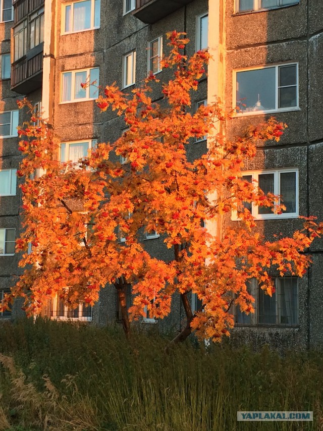 20 самых удачных кадров октября. Без фотошопа.