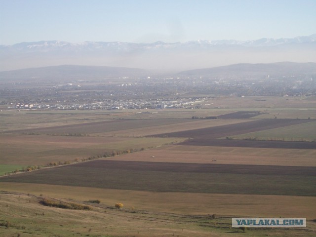 Толерантности пст