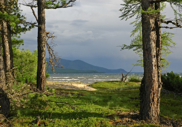 Деревенская Америка