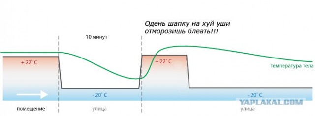 Как дольше не замёрзнуть