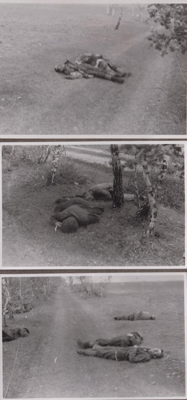 Лето 1941 года.