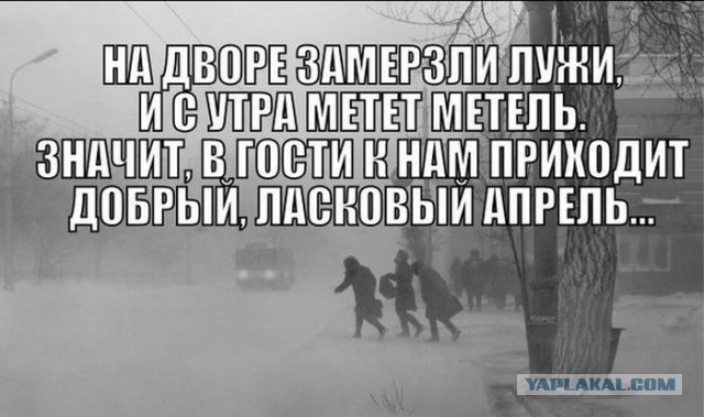 Веселые картинки на пятницу