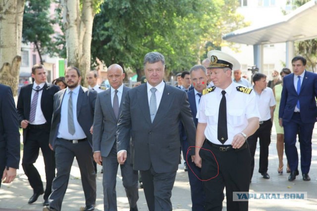 Это фото даже жабить не надо