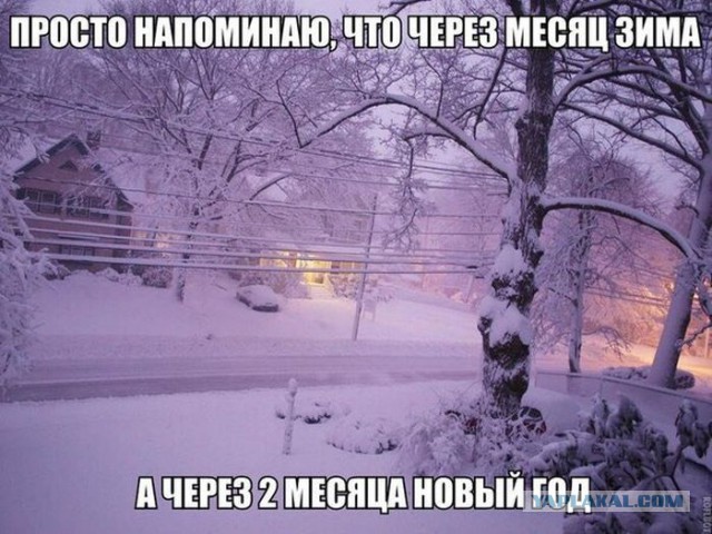 Подборка веселых картинок