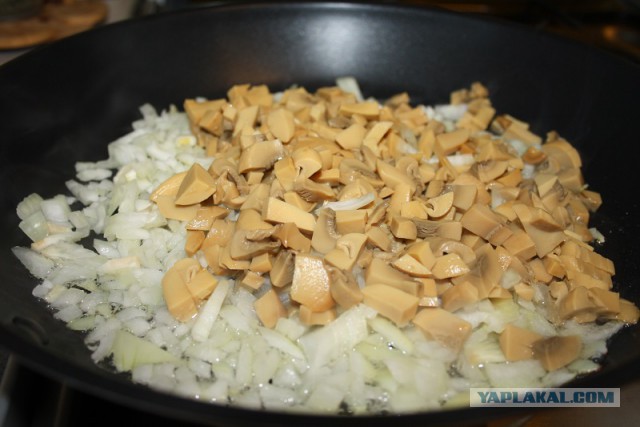Цеппелины (диджкукуляй)